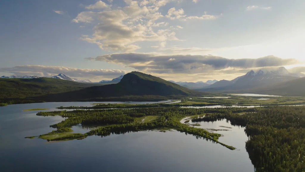 Nays: Performance trifft Style